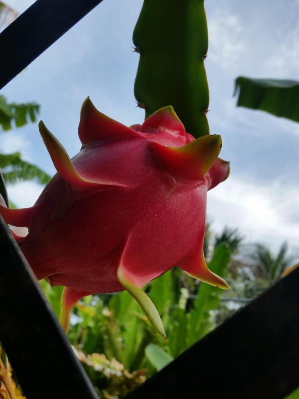산티아고 데 로스 카바예로스 Sana El Jardin Secreto 호스텔 외부 사진
