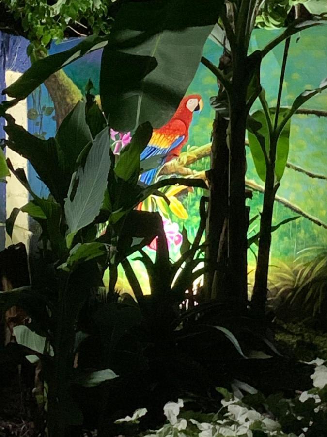 산티아고 데 로스 카바예로스 Sana El Jardin Secreto 호스텔 외부 사진