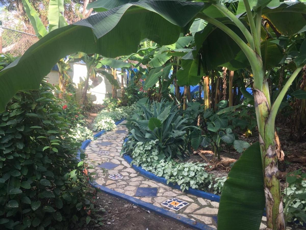 산티아고 데 로스 카바예로스 Sana El Jardin Secreto 호스텔 외부 사진